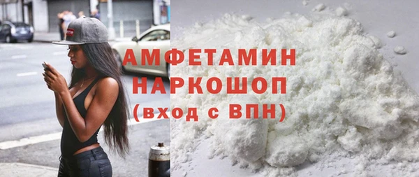 шишки Сясьстрой