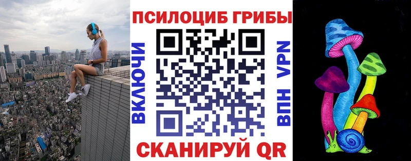 кракен как зайти  Саки  Псилоцибиновые грибы GOLDEN TEACHER 